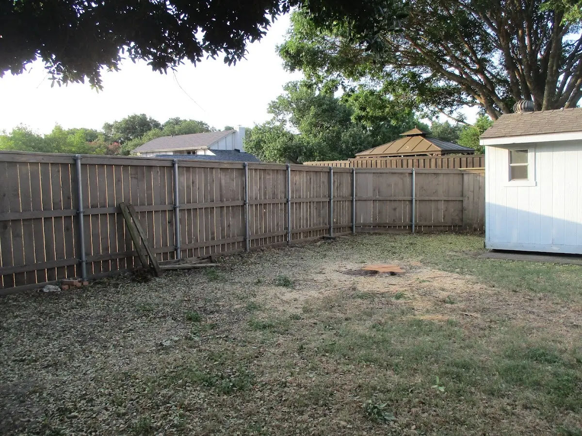 Cleared yard after professional tree removal in Desert Center